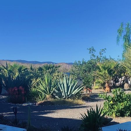 Cortijo Oro Verde B&B Табернас Экстерьер фото