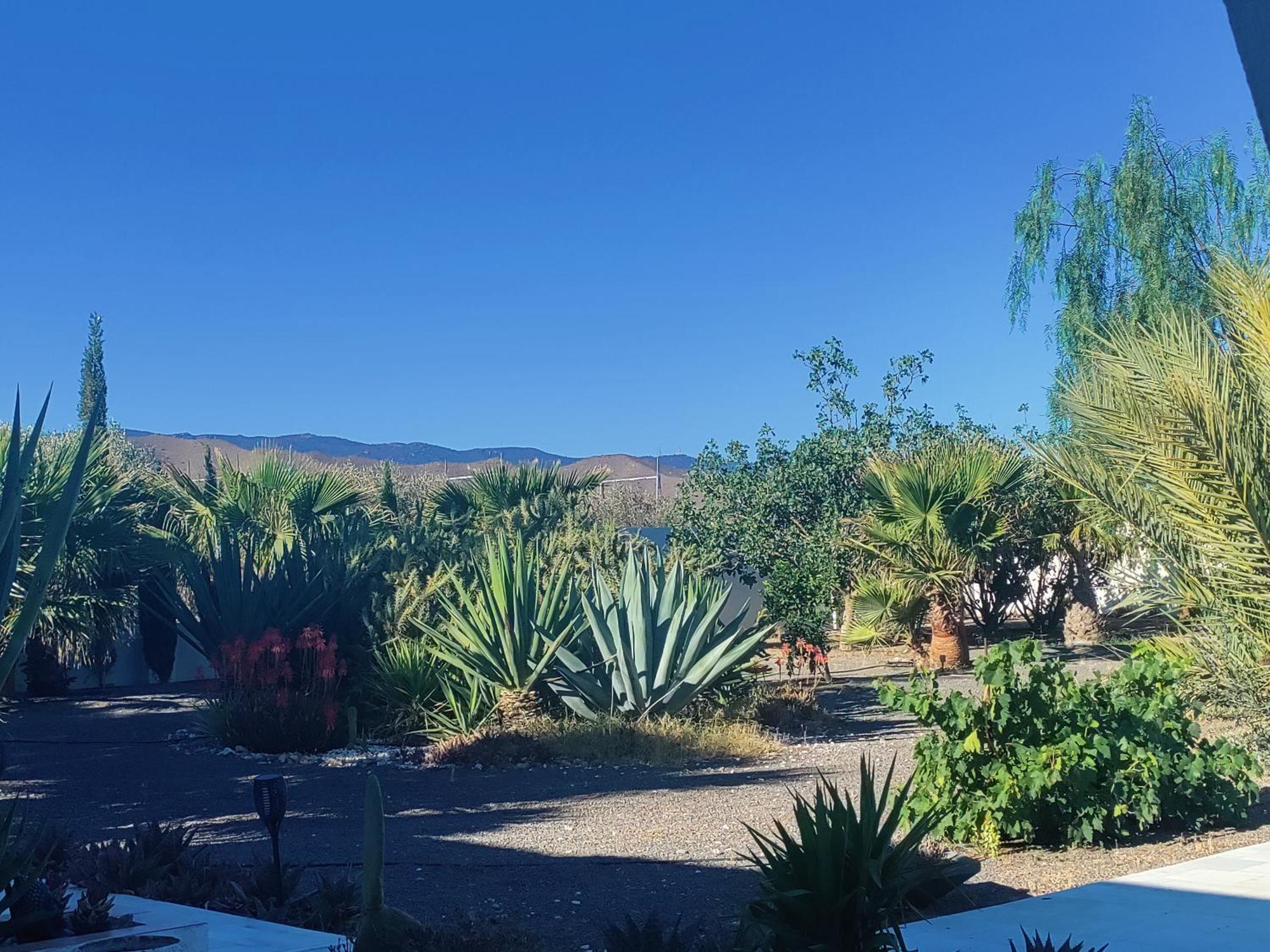 Cortijo Oro Verde B&B Табернас Экстерьер фото